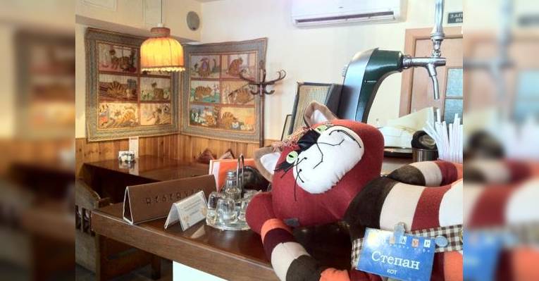 кот Степан на барной стойке