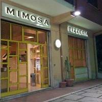 Mimosa