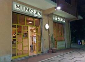 Mimosa