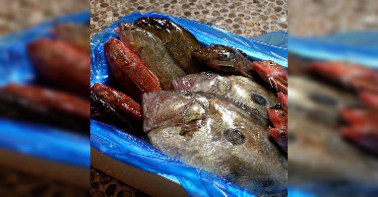 Снимок Seafood Kaisen Odoriyaichiba Kyobashi, Осака