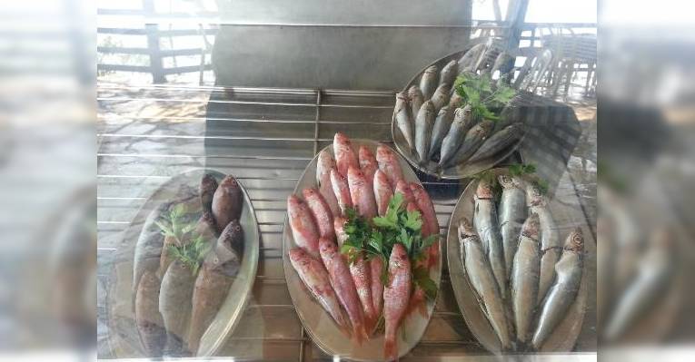 свежая рыба