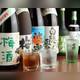 Изображение Shizuoka Oden to Kushiage Jyonetsu Chubo Hikomaru, Тиёда