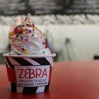 Zebra Frozen Yogurt