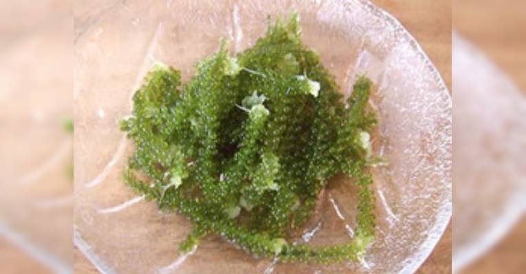 Снимок Kajimaya, Toyonaka