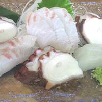 Shiki no Kaisen Totomi
