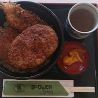 Yo-roppaken Owada