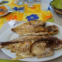 Pelicanos II