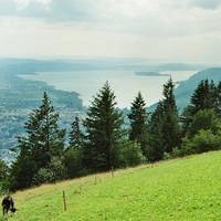 Bozingenberg