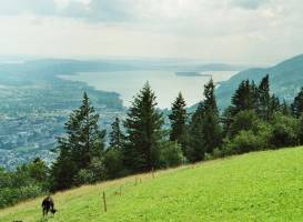 Bozingenberg