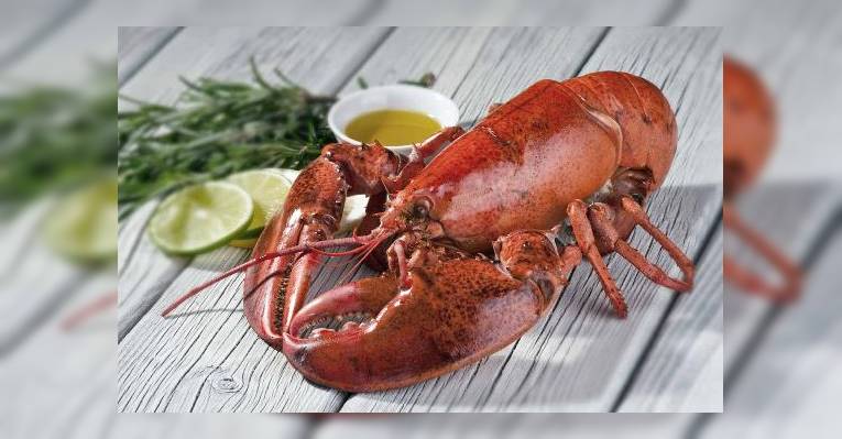 Снимок Jensens Fiskerestaurant, Саби
