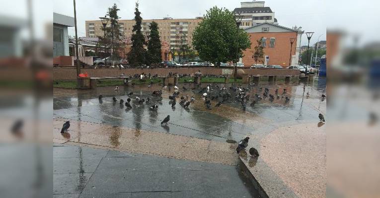 На площади перед входом в дождливую погоду