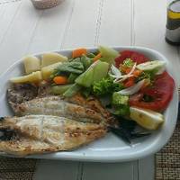 O Pescador