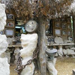 Safari Bar