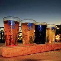 Crafty TROUT Brewing Co.