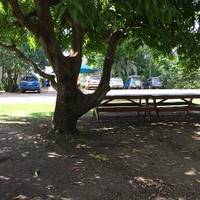 Ivanhoe Cafe