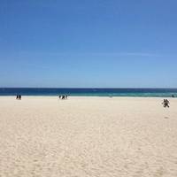 Figueirinha Beach Lounge