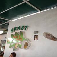 Hrast