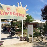 Kiwengwa 101