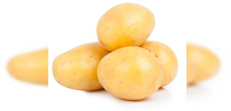 Снимок Batata Inglesa, Рио-де-Жанейро