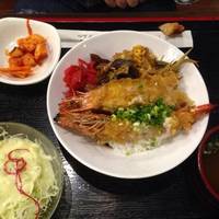 Zenco Fusion Resto