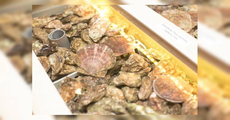 В ресторане находится аквариум с живыми морепродуктами: более 10 видов устриц, крабы, омары и др