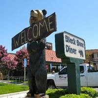 Black Bear Diner