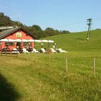 Taverna Cimbra