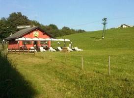 Taverna Cimbra