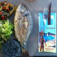 Le Corsaire, Propriano