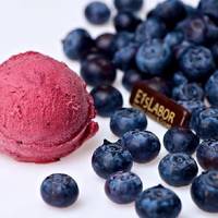 EisLabor