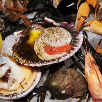 Saveurs Marines