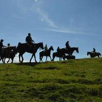 Horses Pub