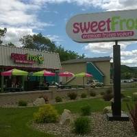 Sweet Frog Yogurt