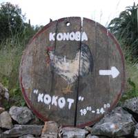 Konoba Kokot
