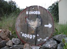Konoba Kokot