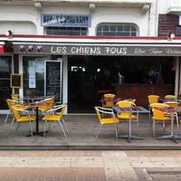 Les chiens fous