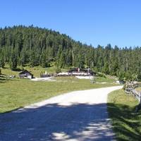 Wildmoosalm