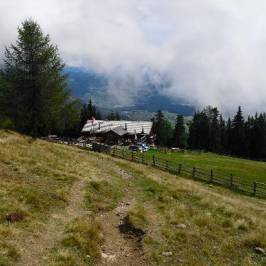 Pertinger Alm