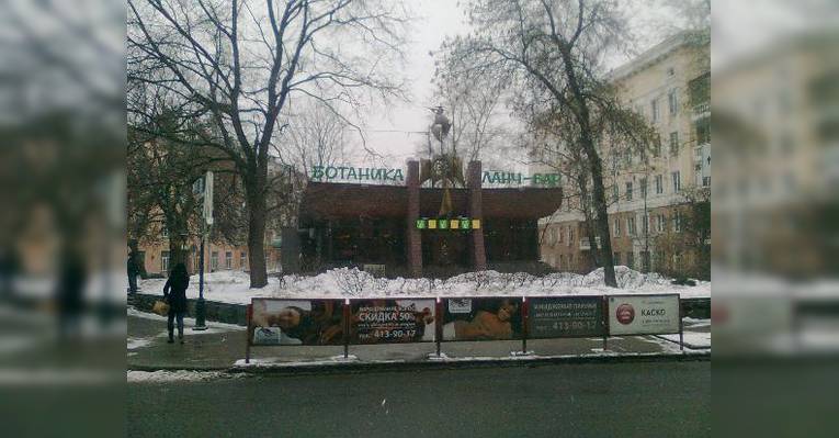 Ботаника. Вид снаружи в зимний период.