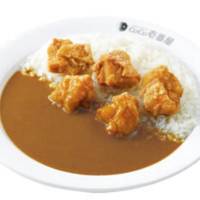 Coco Ichibanya Hamamatsu Tateno