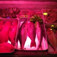 Seashells Restaurant