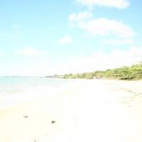 Zio Praia Grill