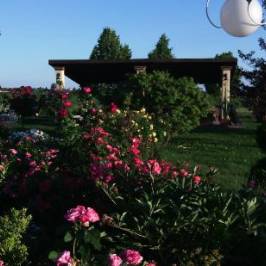 Agriturismo Millefiori Restaurant