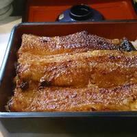Sumibi Unagi Kamo