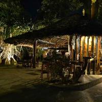 jungle bar
