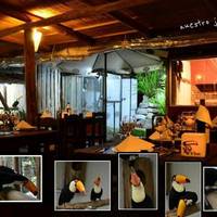 El Tucan