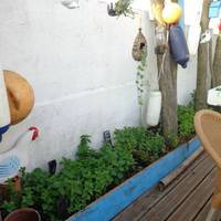 Les 11 Mouettes