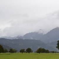 Lake Matheson Cafe