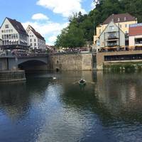 Primer Express Tubingen