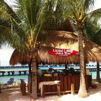 Coconut Lounge Juice Bar Cozumel